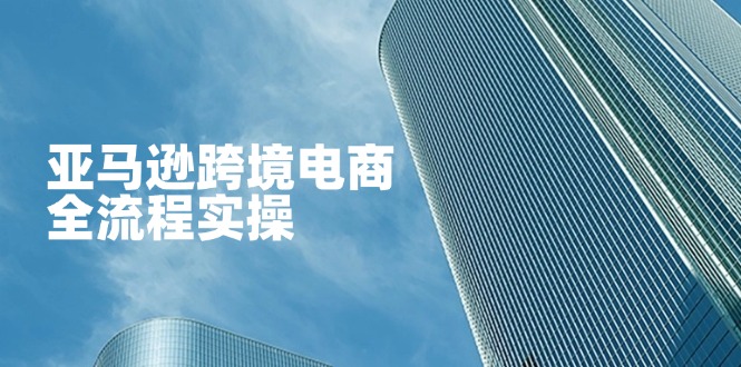 （14252期）亚马逊跨境电商全流程实操，教你从零开始，掌握店铺运营与广告技巧-源创文化:轻创终点站