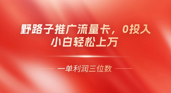 0门槛推广流量卡，一单收益上百，0投入，小白月入过W-源创文化:轻创终点站