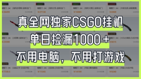 真全网独家CSGO挂G,单日捡漏1k+【揭秘】-源创文化:轻创终点站